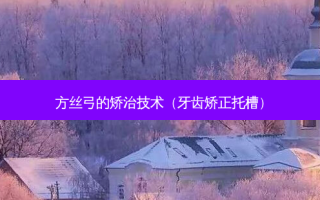 方丝弓的矫治技术（牙齿矫正托槽）