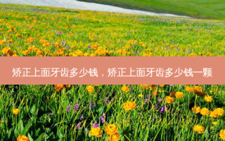 矫正上面牙齿多少钱，矫正上面牙齿多少钱一颗