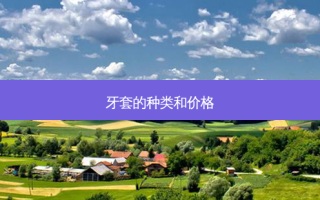 牙套的种类和价格