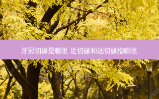 牙冠切缘是哪里 近切缘和远切缘指哪里