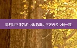 隐形纠正牙齿多少钱 隐形纠正牙齿多少钱一颗
