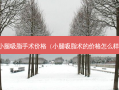 小腿吸脂手术价格（小腿吸脂术的价格怎么样）