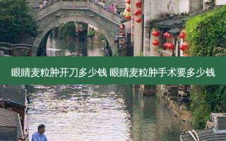 眼睛麦粒肿开刀多少钱 眼睛麦粒肿手术要多少钱