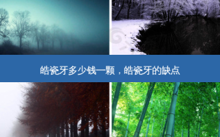 皓瓷牙多少钱一颗，皓瓷牙的缺点
