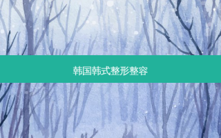 韩国韩式整形整容