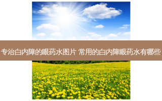 专治白内障的眼药水图片 常用的白内障眼药水有哪些