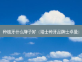 种植牙什么牌子好（瑞士种牙品牌士卓曼）