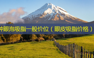 肿眼泡吸脂一般价位（眼皮吸脂价格）