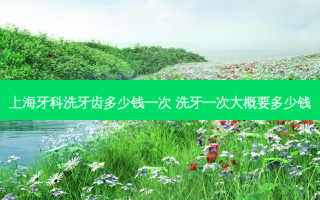上海牙科洗牙齿多少钱一次 洗牙一次大概要多少钱