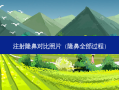 注射隆鼻对比照片（隆鼻全部过程）
