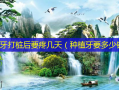 种植牙打桩后要疼几天（种植牙要多少钱）