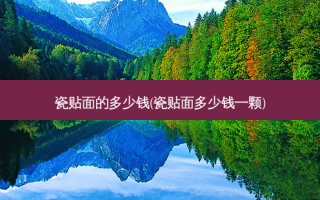 瓷贴面的多少钱(瓷贴面多少钱一颗)