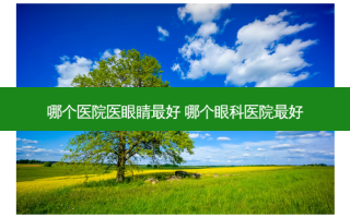 哪个医院医眼睛好 哪个眼科医院好