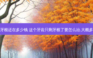 牙断了牙根还在多少钱 这个牙齿只剩牙根了要怎么治,大概多少费用