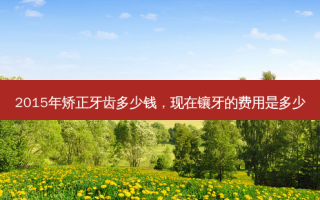 2015年矫正牙齿多少钱，现在镶牙的费用是多少