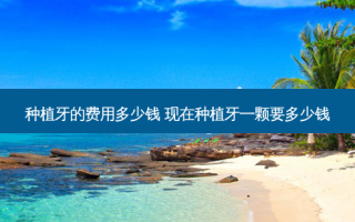 种植牙的费用多少钱 现在种植牙一颗要多少钱