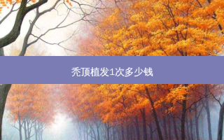 秃顶植发1次多少钱