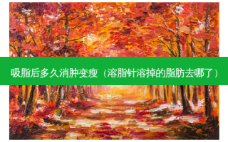 吸脂后多久消肿变瘦（溶脂针溶掉的脂肪去哪了）