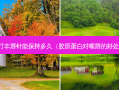打丰唇针能保持多久（胶原蛋白对嘴唇的好处）