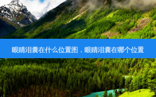 眼睛泪囊在什么位置图，眼睛泪囊在哪个位置