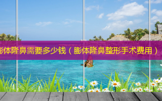 膨体隆鼻需要多少钱（膨体隆鼻整形手术费用）