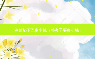 注射垫下巴多少钱（整鼻子要多少钱）
