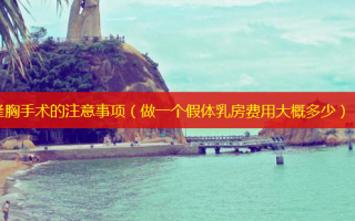 隆胸手术的注意事项（做一个假体乳房费用大概多少）