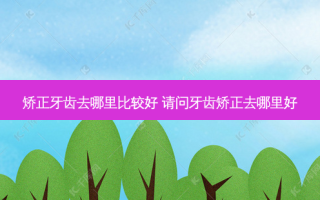 矫正牙齿去哪里比较好 请问牙齿矫正去哪里好