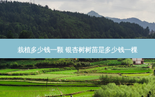 栽植多少钱一颗 银杏树树苗是多少钱一棵
