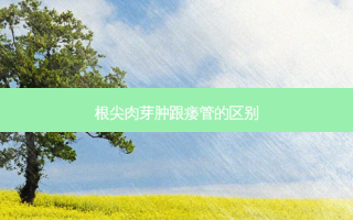 根尖肉芽肿跟瘘管的区别