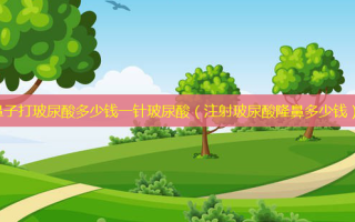鼻子打玻尿酸多少钱一针玻尿酸（注射玻尿酸隆鼻多少钱）