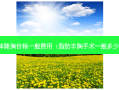 假体隆胸价格一般费用（脂肪丰胸手术一般多少钱）