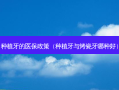 种植牙的医保政策（种植牙与烤瓷牙哪种好）