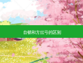 自锁和方丝弓的区别