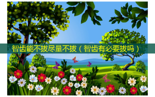 智齿能不拔尽量不拔（智齿有必要拔吗）