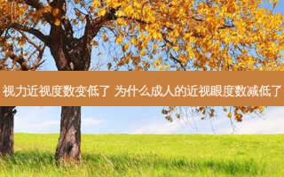 视力近视度数变低了 为什么成人的近视眼度数减低了