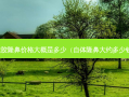 硅胶隆鼻价格大概是多少（自体隆鼻大约多少钱）
