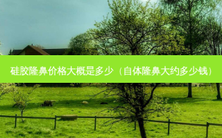 硅胶隆鼻价格大概是多少（自体隆鼻大约多少钱）