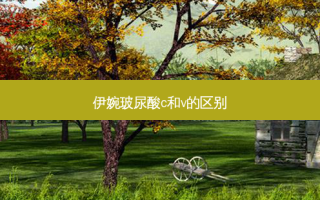 伊婉玻尿酸c和v的区别