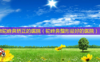 做驼峰鼻矫正的医院（驼峰鼻整形好的医院）