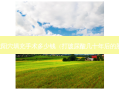 太阳穴填充手术多少钱（打玻尿酸几十年后的脸）