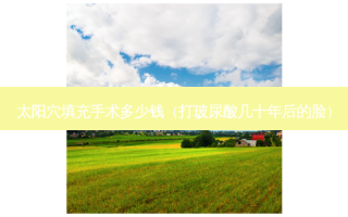 太阳穴填充手术多少钱（打玻尿酸几十年后的脸）