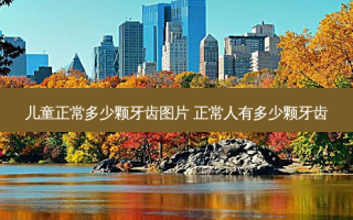儿童正常多少颗牙齿图片 正常人有多少颗牙齿