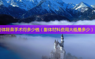 膨体隆鼻手术得多少钱（膨体材料费用大概是多少）