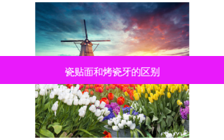 瓷贴面和烤瓷牙的区别