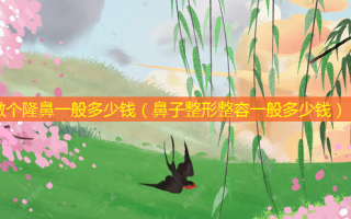 做个隆鼻一般多少钱（鼻子整形整容一般多少钱）