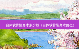 自体软骨隆鼻术多少钱（自体软骨隆鼻术价位）