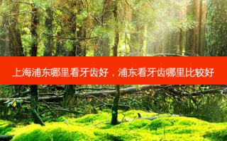 上海浦东哪里看牙齿好，浦东看牙齿哪里比较好