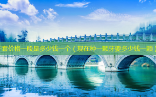 牙套价格一般是多少钱一个（现在种一颗牙要多少钱一颗）