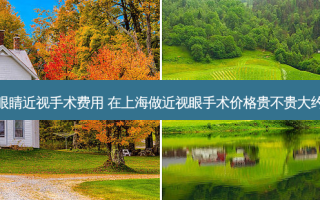 上海眼睛近视手术费用 在上海做近视眼手术价格贵不贵大约多少